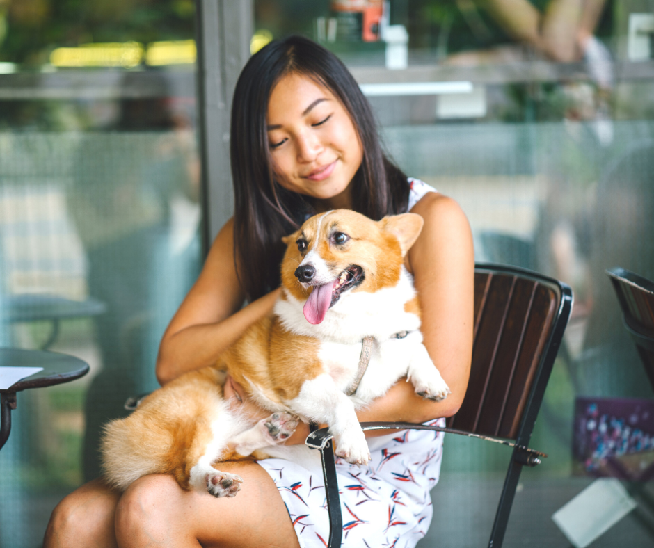 A woman cuddles her pet corgi dog while sitting in a bistro chair outside of a restaurant. The dog is happy with it's tongue hanging out.