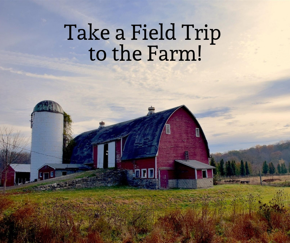 Come to Shepherd's Cross Farm and watch as the sheep peacefully graze the pastures, and rest by the still waters. There's never a bad time to take a step back and relax a bit. The whole family can benefit from a slow, peaceful, fun day!