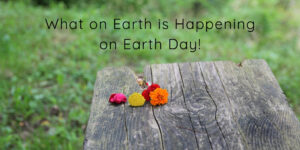 Earth Day is a wonderful annual celebration for environmental protection in the United States and all across the globe. Learn what is happening here in Tulsa for Earth Day and find ways to get involved!