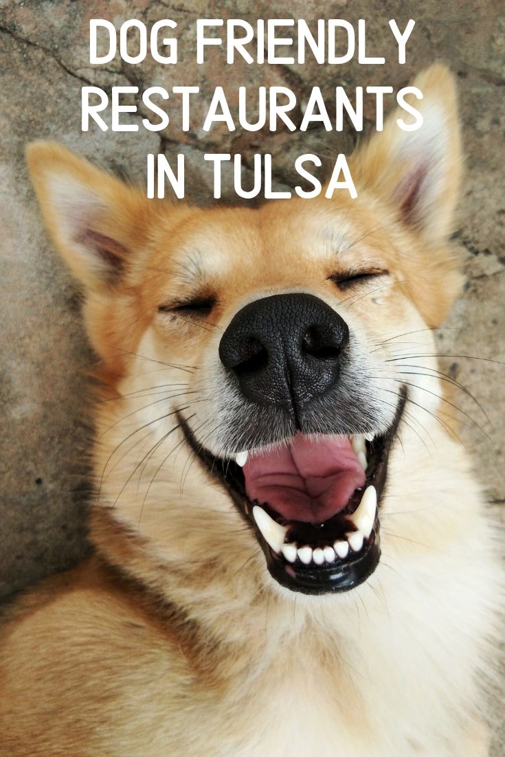 We love opening our doors to you and your furry family members. We’re excited that so many Tulsa restaurants do too! Our list of dog friendly restaurants include: Wild Fork, Queenie’s Cafe, Roosevelt’s, Andolini’s, Freckles Frozen Custard, Docs Wine and Food, Tally’s Good Food Cafe and more!