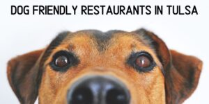 We love opening our doors to you and your furry family members. We’re excited that so many Tulsa restaurants do too! Our list of dog friendly restaurants include: Wild Fork, Queenie’s Cafe, Roosevelt’s, Andolini’s, Freckles Frozen Custard, Docs Wine and Food, Tally’s Good Food Cafe and more!