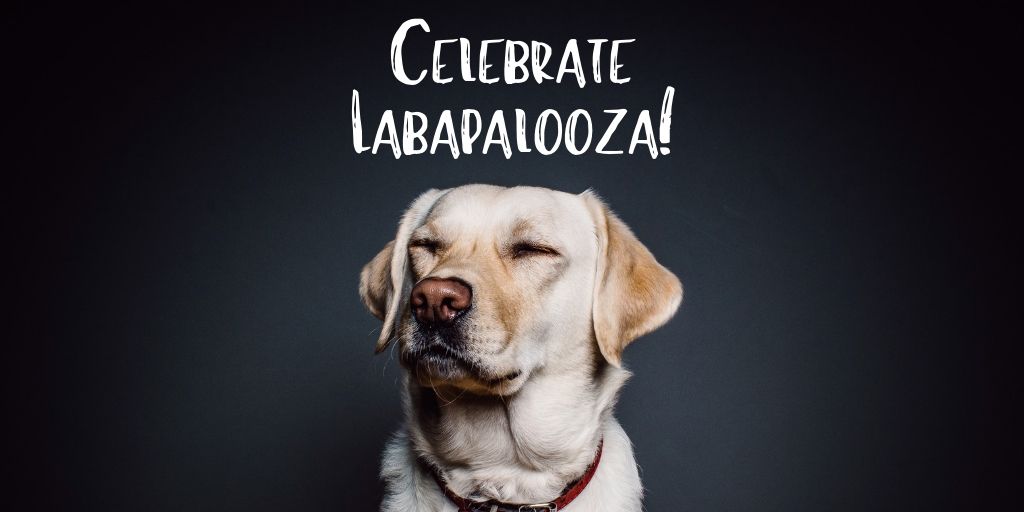 For Labapalooza dogs of all shapes and sizes descend on downtown...mostly labs! It's a celebration fundraiser for Lab Rescue OK!  Come on out and show your support!