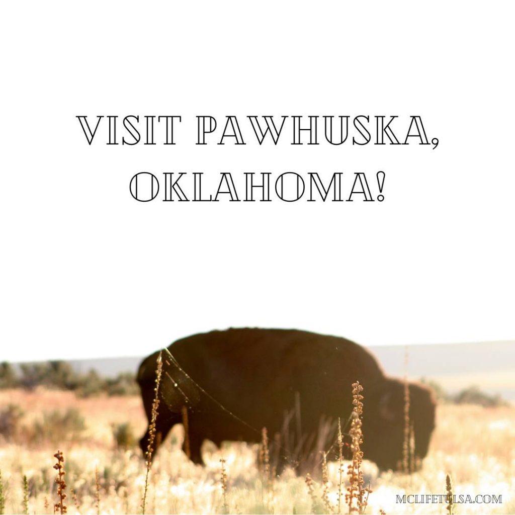Image of lone bison in a field with tall grass.  The sun in shining on the bison.  Words read Visit Pawhuska, Oklahoma.  