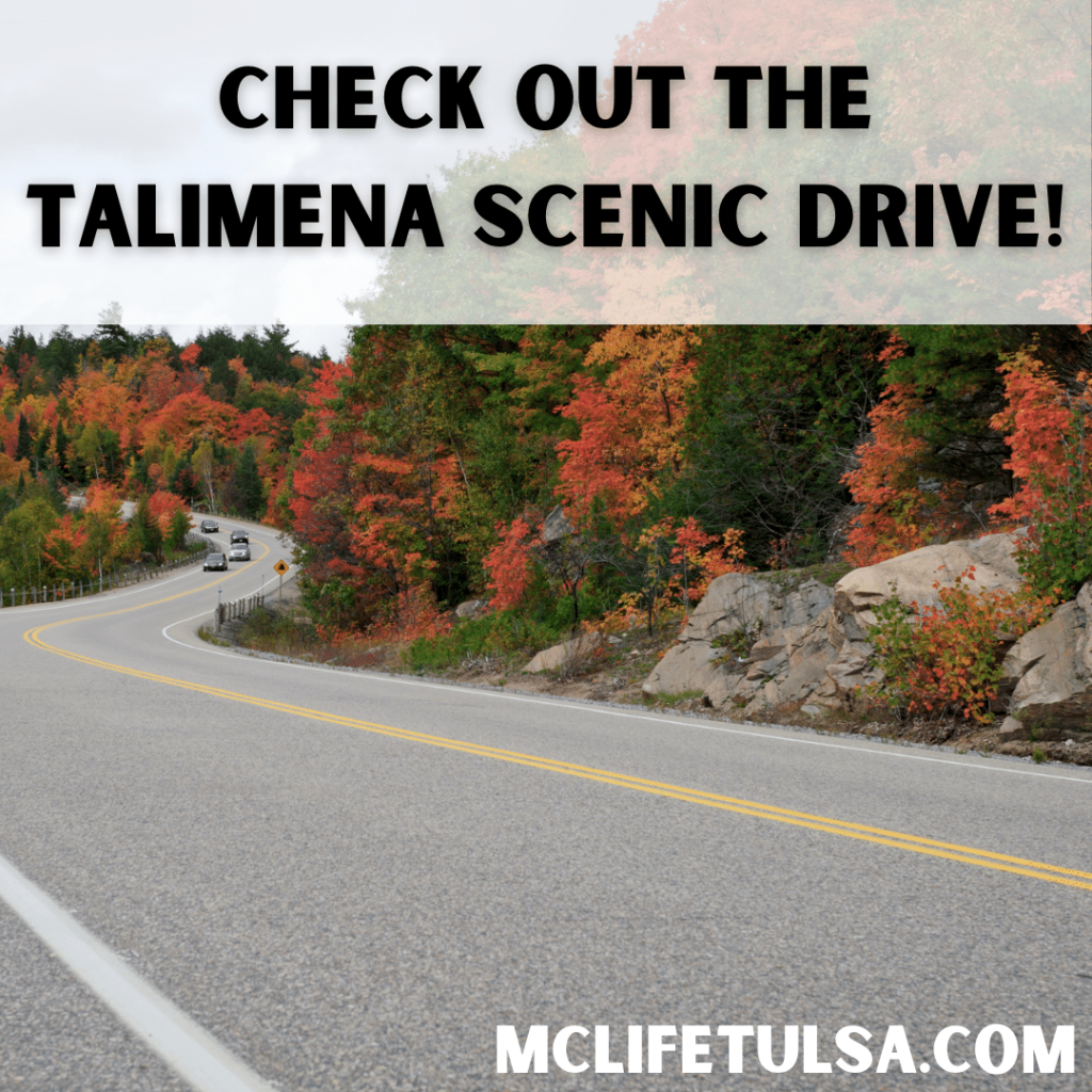 Image of a curvy two lane road with the views of fall colored trees in the background. Words on title read check out the talimena scenic drive.