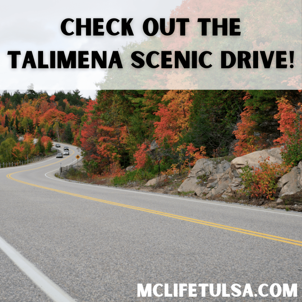 Image of a curvy two lane road with the views of fall colored trees in the background.  Words on title read check out the talimena scenic drive. 