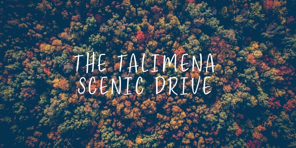 Autumn is in full swing! Looking for the best way to see this year’s foliage? The Talimena Scenic Drive is a scenic 54-mile stretch of highway that will take you through the Ouachita National Forest.