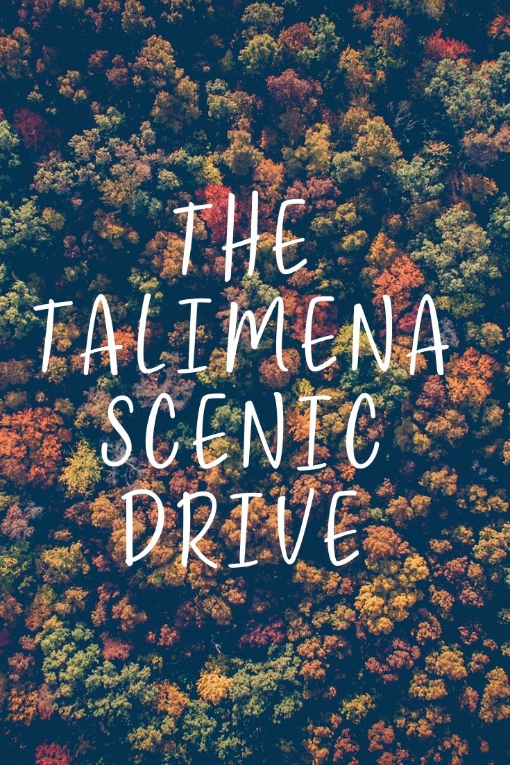 Autumn is in full swing! Looking for the best way to see this year’s foliage? The Talimena Scenic Drive is a scenic 54-mile stretch of highway that will take you through the Ouachita National Forest.