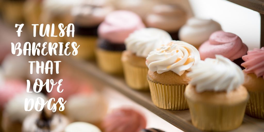 Did you know that there are Tulsa bakeries that allow you to bring your pup along to visit? These are 7 Tulsa bakeries that love dogs. The next time you are craving a sweet treat or some baked goods head out to one of these locations and bring your furry friend along for the ride. 