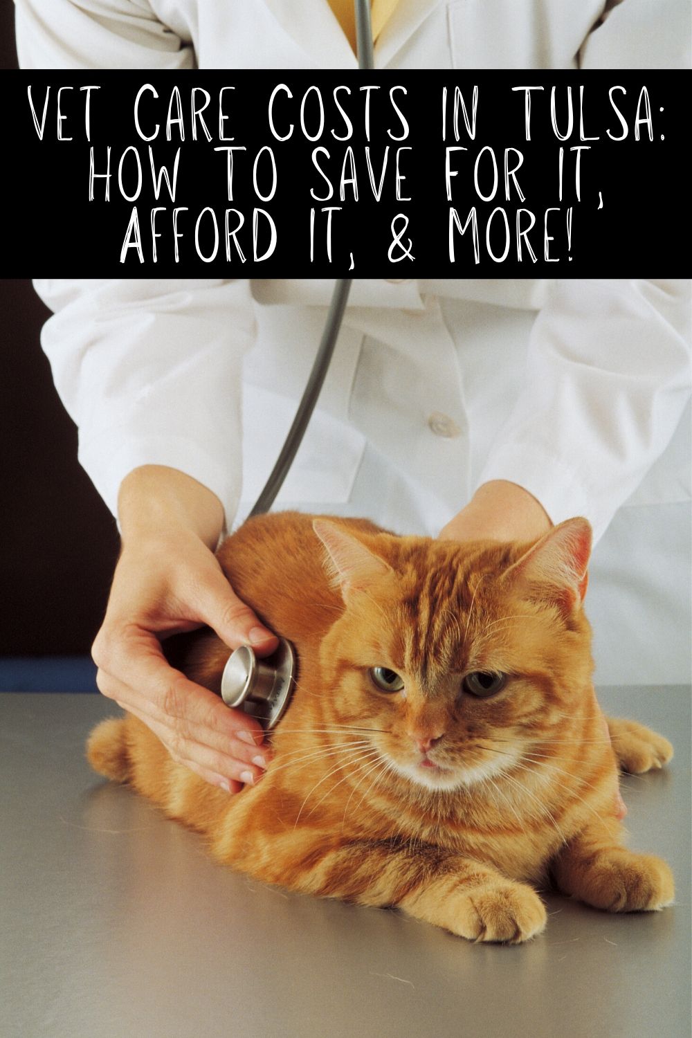 Vet care costs in Tulsa, like everywhere else, can sneak up on you. Be prepared for the best pet care possible with these tips and tricks.