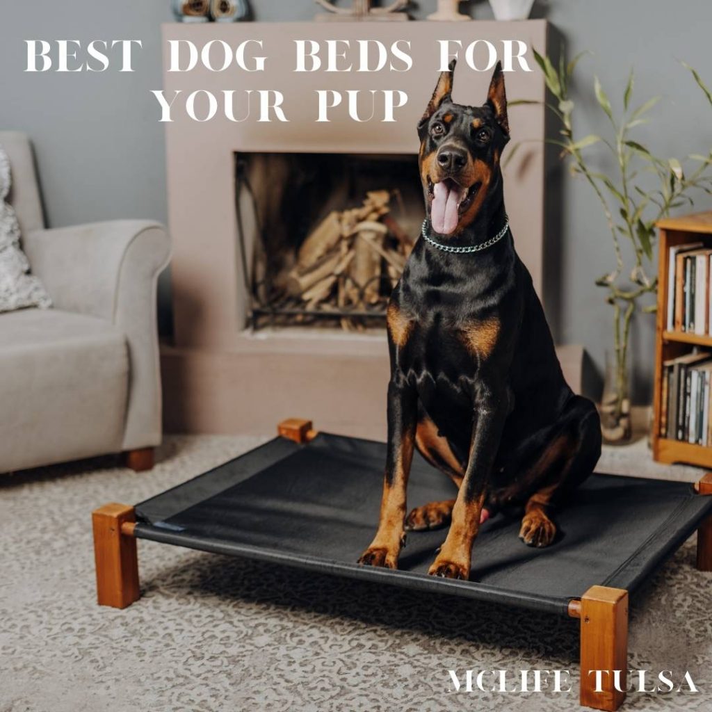 Image of doberman dog sitting on a dog bed in front of a fireplace that isn't on.  