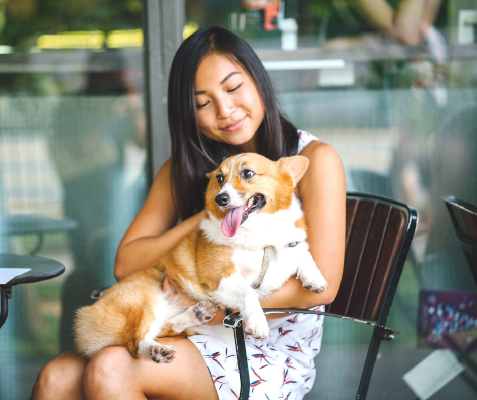 A woman cuddles her pet corgi dog  while sitting in a bistro chair outside of a restaurant.  The dog is happy with it's tongue hanging out.  