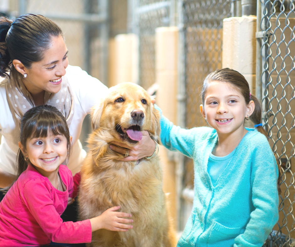 A mother and her two daughters hug a golden retriever at an adoption shelter.