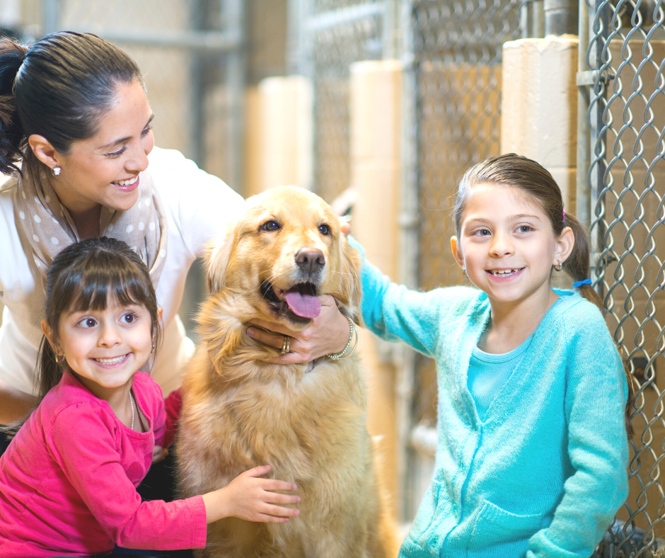 A mother and her two daughters hug a golden retriever at an adoption shelter.  