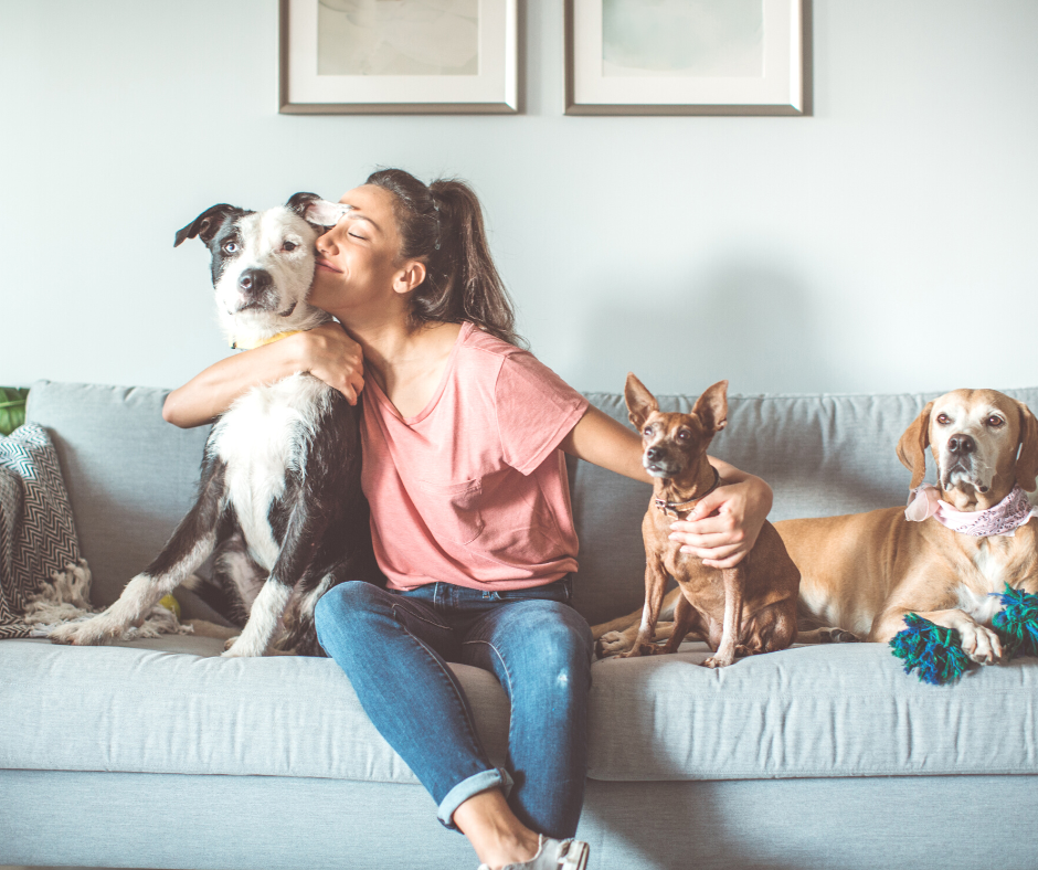A woman wearing a pink shirt and blue jeans is sitting on a light grey couch with three dogs. She is hugging the white and black dog.