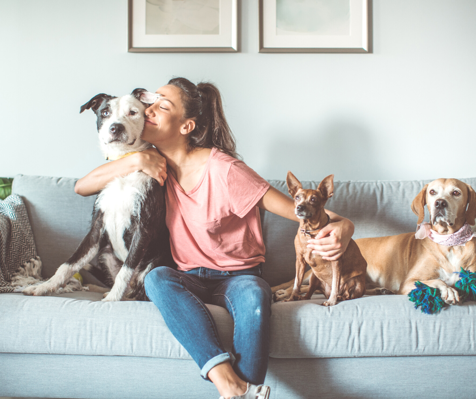 A woman wearing a pink shirt and blue jeans is sitting on a light grey couch with three dogs.  She is hugging the white and black dog.  