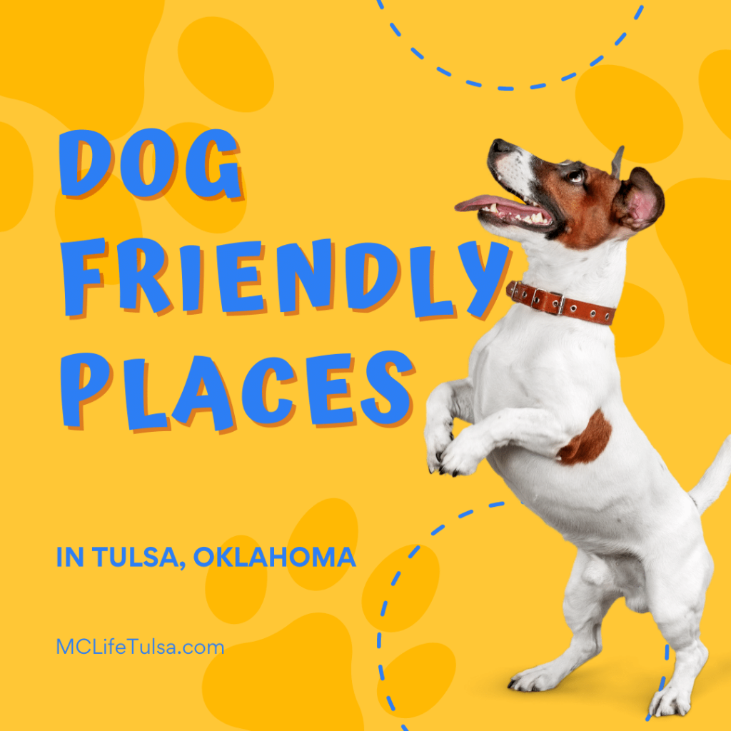 yellow background and small terrier dog jumping up on the right side of image. Image says in blue text "Dog Friendly Places in Tulsa, Oklahoma."